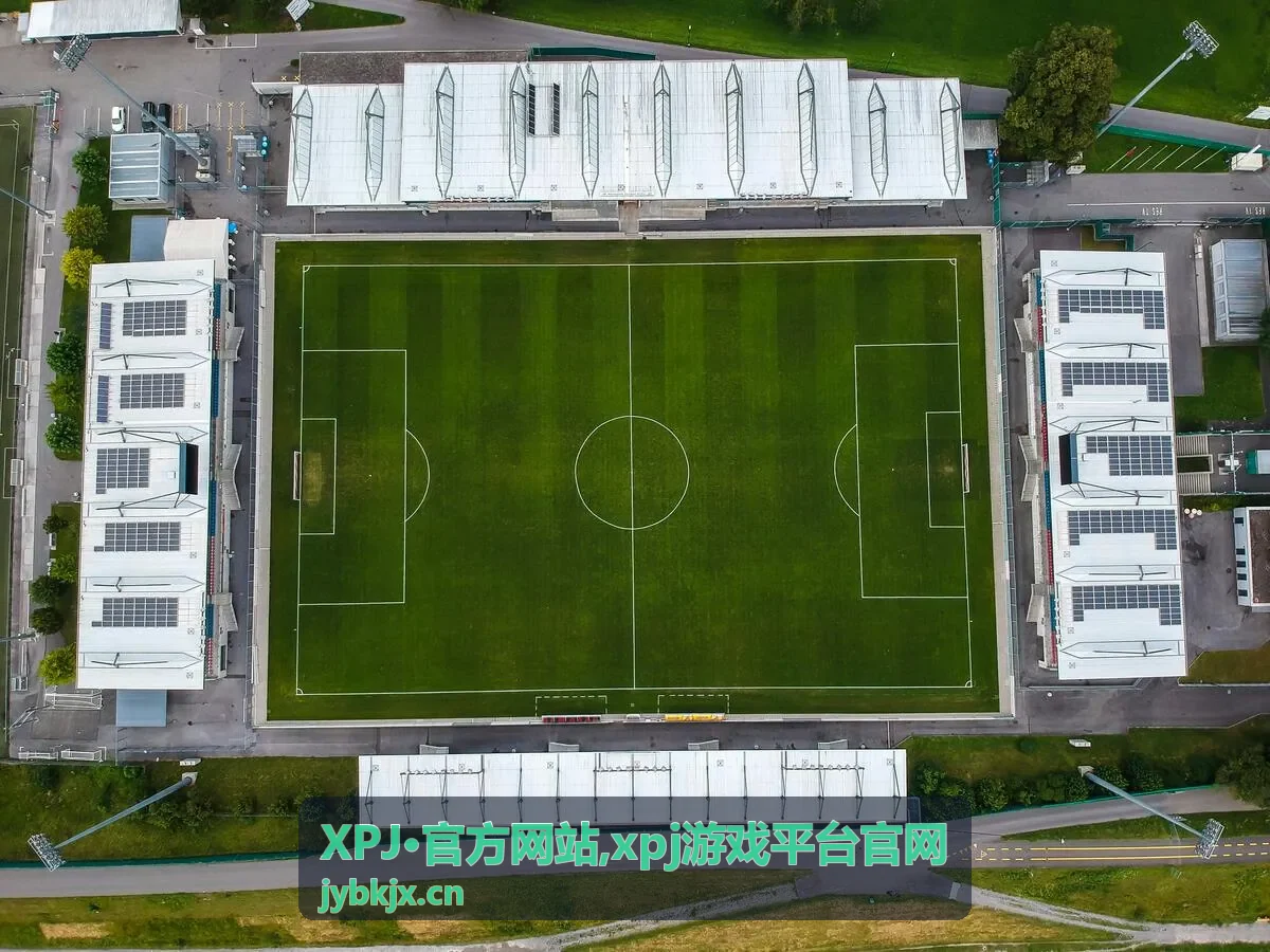 xpj游戏平台官网平台栏目说明视觉图