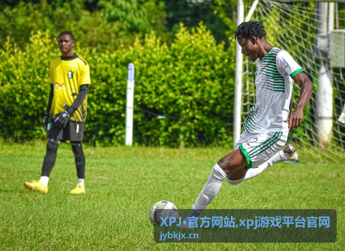 XPJ·官方网站入口指南封面